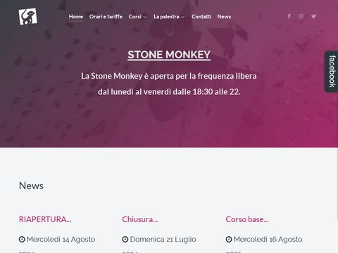 Stone Monkey