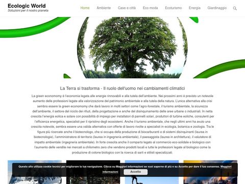 L'ambiente e l'energia.