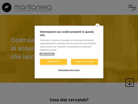 Mantanera Web Agency Torino