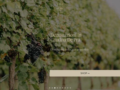 Vini Doc Veneti