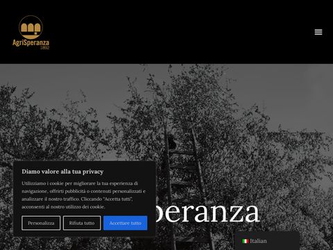 Olio Giano dell'Umbria